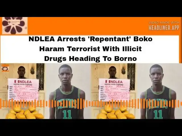 Video thumbnail for NDLEA Arrests 'Repentant' Boko Haram Terrorist With Illicit Drugs Heading To Borno ~ OsazuwaAkonedo