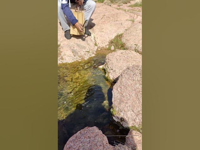 Video thumbnail for 29 ديسمبر 2022