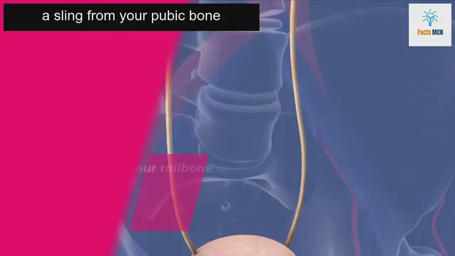 Video thumbnail for Discover the Surprising Effects of Pelvic Muscle Workouts