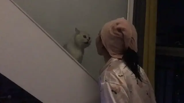 Video thumbnail for Cat and Woman Mimic Each Other on Staircase in Sichuan