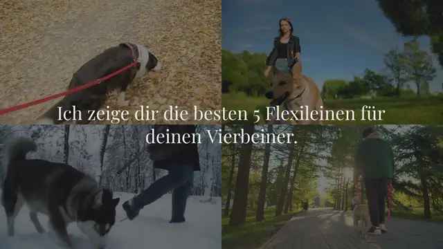 Video thumbnail for Flexileine Hund: Die besten 5 Modelle im Test (2024)