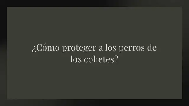 Video thumbnail for ¿Cómo proteger a los perros de los cohetes?