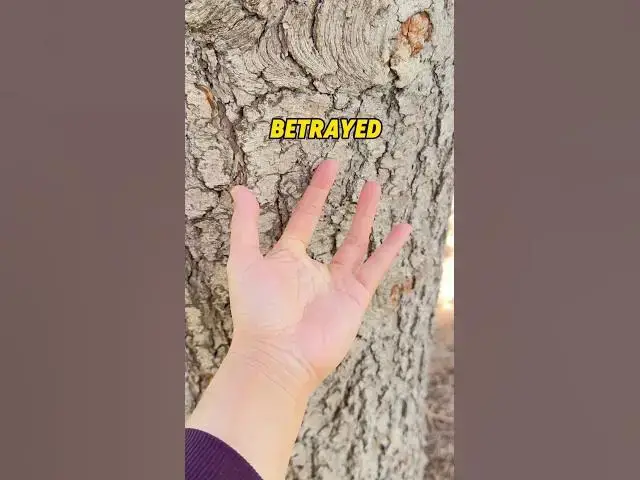 Video thumbnail for My Finger’s Been Like This Since ‘That’ #funny #storymoment #memes