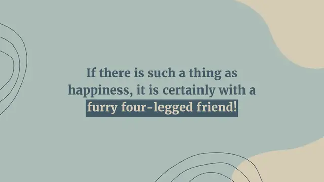 Video thumbnail for 30 small dog breeds (with pictures!)