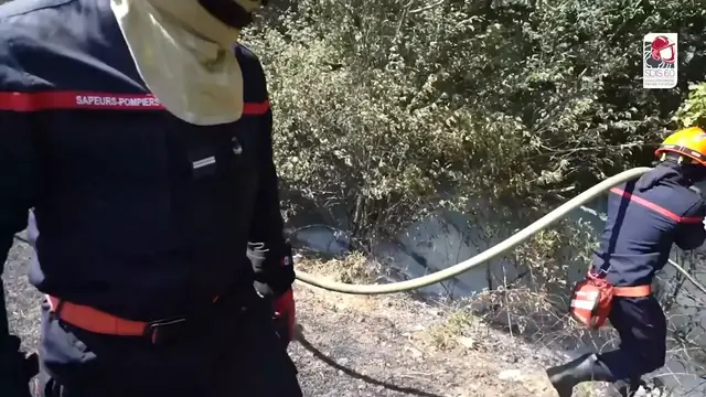 Video thumbnail for France: Firefighters respond to wildfire in northern France.