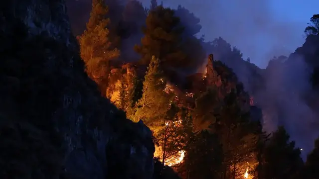 Video thumbnail for Italy: Forest fire spreads near Palermo in Sicily.