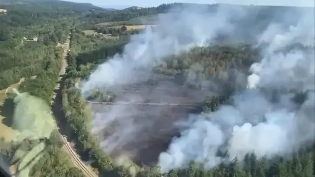 Video thumbnail for France: More than 50,000 hectares burned by wildfire this year, says French interior minister.