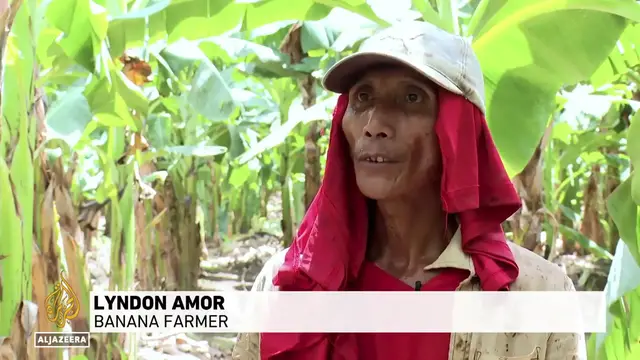 Video thumbnail for Philippine Banana Farmers Feel Economic Fallout of Iran Conflict