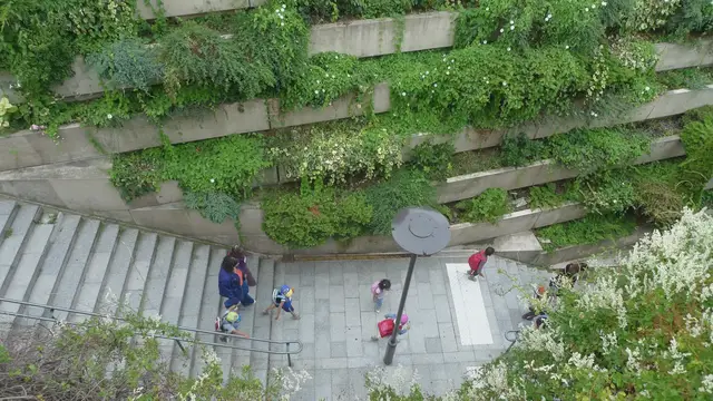 'Video thumbnail for 5 Steps to Staircase Gardening: A Complete Guide'
