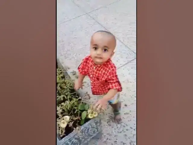 Video thumbnail for HOME GARDEN VISIT | POTA JEE'S VISIT TO HOME VEGETABLES GARDEN