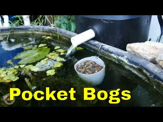 Video thumbnail for DIY Hanging Bog Buckets - Experimental