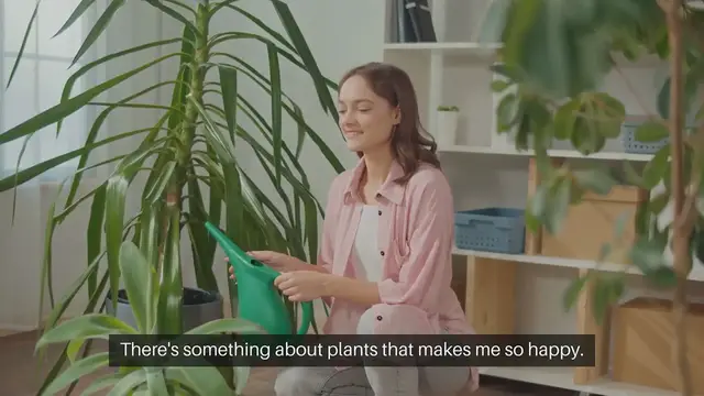 Video thumbnail for Top Indoor Plants for your Home (This Winter)