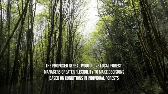 Video thumbnail for Trump Administration Moves To Allow Logging And Construction In National Forests.