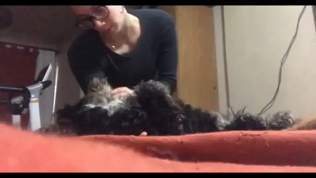 Video thumbnail for Puppy Physio Fun in Córdoba