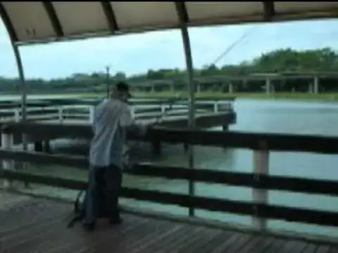 Video thumbnail for rat2008new.mpg