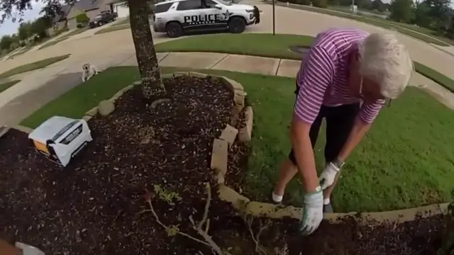 Video thumbnail for US: Officer Stops To Help With Stubborn Plant, Later Receives Bag Of Apples.