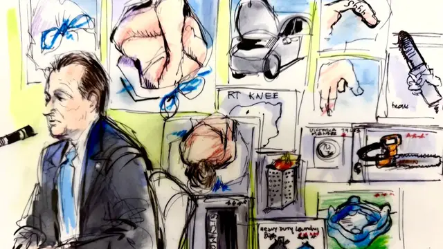 Video thumbnail for Graphic evidence shown as D4vd murder hearing begins