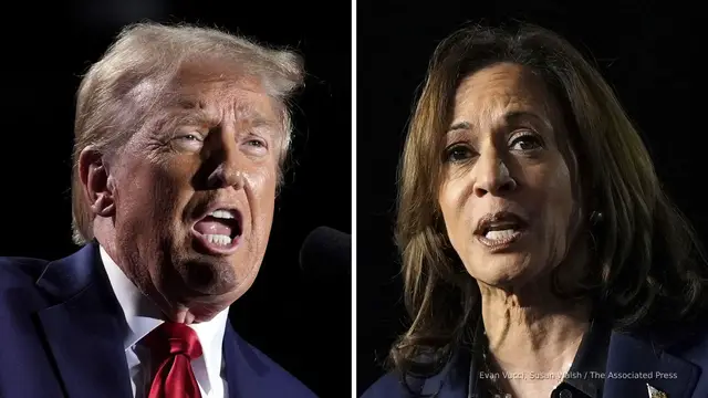 'Video thumbnail for Harris warns business leaders are enabling 'tyrant' Trump'