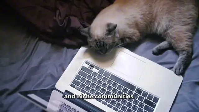 Video thumbnail for 11 Clever Ways to Grow Your Business with Reddit