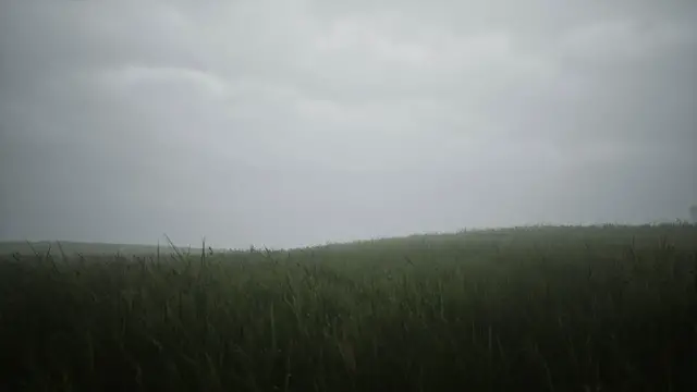 Video thumbnail for Lushfoil Photography Simulator VR - Official Launch Trailer | VR Games Showcase Fall 2025