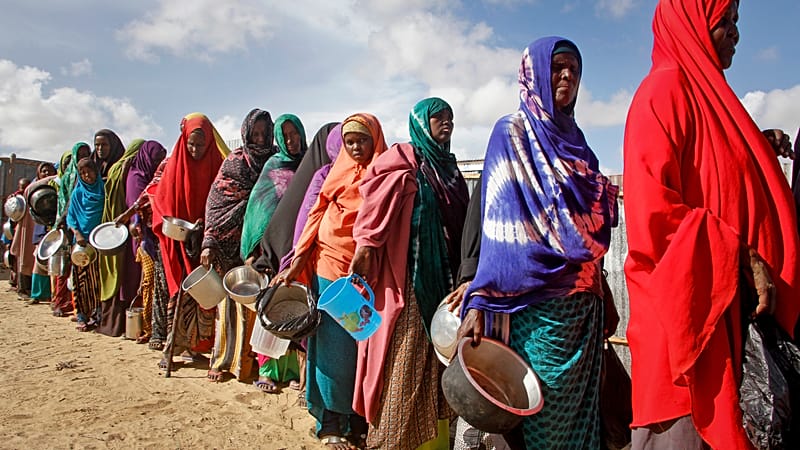Video thumbnail for Crisis-levels of hunger in Somalia more than double, say UN-backed experts