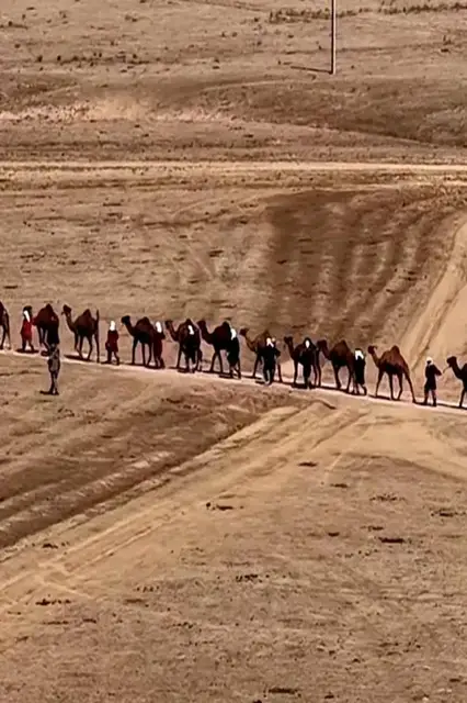 'Video thumbnail for Largest parade of one-humped camels - 252 by Mr Sydyk Daveltov, Mrs Sharipa Davletova and Daulet-Beket LLP'