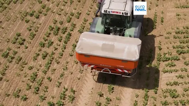 Video thumbnail for EU member states back Mercosur deal, French MEPs vow fight in Parliament