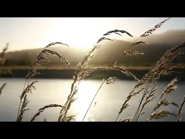 Video thumbnail for Blades of Grass