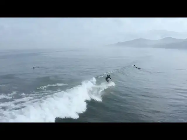 Video thumbnail for Surfer