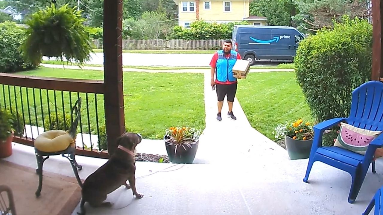 Video thumbnail for Nervous Amazon Driver Has Wholesome Conversation With Dog