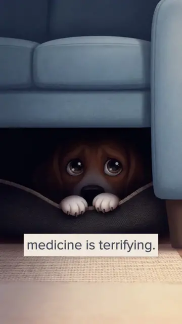 Video thumbnail for Is Your Dog's Flea Medicine Reaction Normal or Toxic?