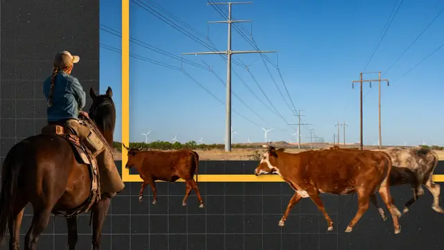 Video thumbnail for These ranchers heal the land. The power company drew a line through it