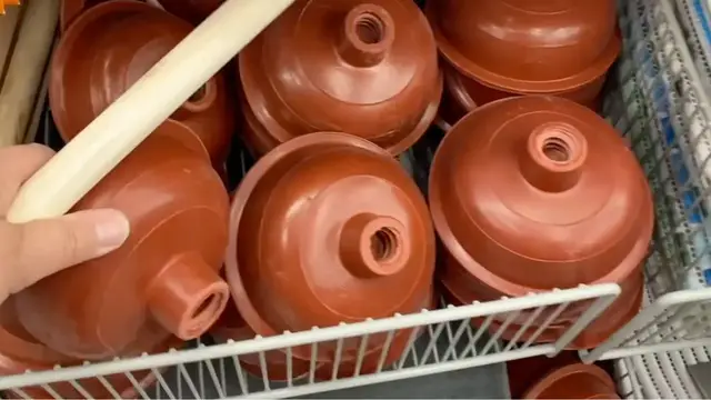'Video thumbnail for The genius reason people are buying Dollar Store toilet plungers for their hallways!'