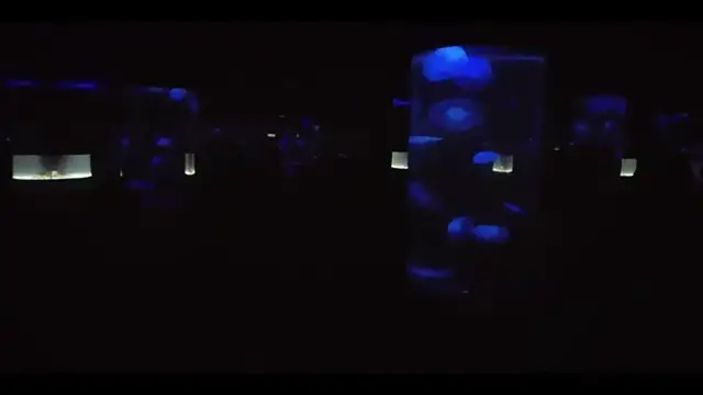 Video thumbnail for Sunset Cruise with LSD, Red Hat, AWS and GitLab