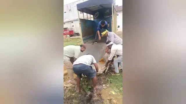 Video thumbnail for India: Social organisation rescued a cow involved in an accident in Shahdol, Madhya Pradesh.