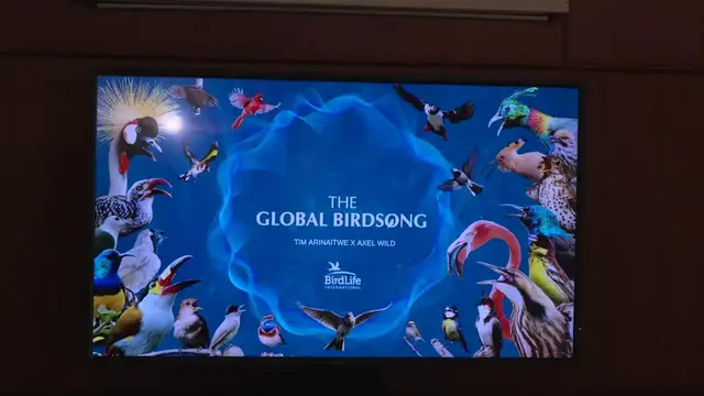 Video thumbnail for Kenya: Migratory Birds Face Extinction Threat in Nairobi.