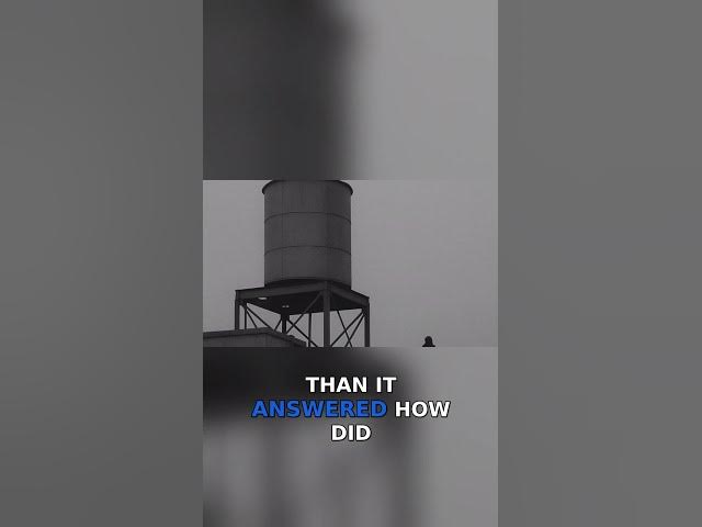 Video thumbnail for The Chilling Discovery