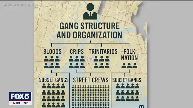 'Video thumbnail for NYC gang members are getting younger'