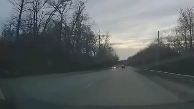 Video thumbnail for Close Call: Moose Nearly Hits Car in Penza