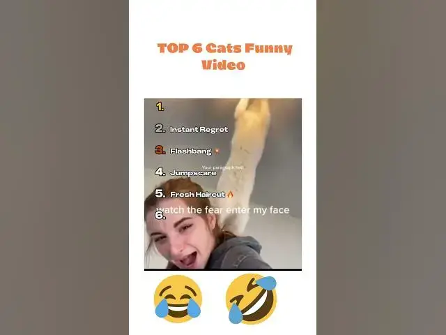 'Video thumbnail for Top 6 Cats Funny Videos Viral On Tik Tok 😂 #shortvideo #viralshorts #catshorts #reels #funny'