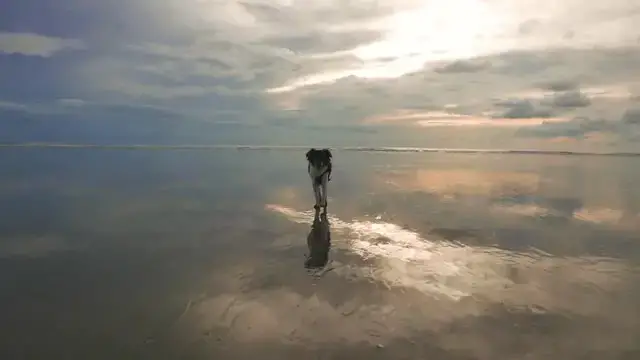 Video thumbnail for Adorable Dog Hitch-Hikes World With Owners | Happily TV