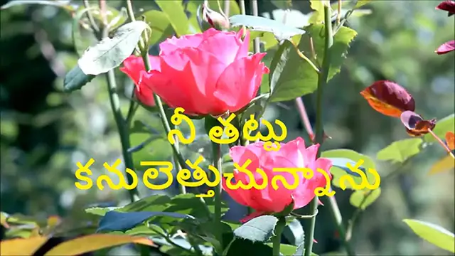 Video thumbnail for Aakaashamandunna Aaseenudaa_ Telugu Christian Songs with Lyrics