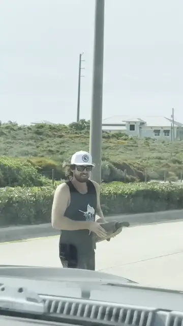 Video thumbnail for Rescuing a Tortoise from a Busy Coastal Road