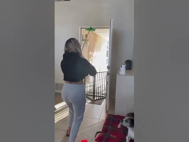 'Video thumbnail for Side Quest- Wild Life Protector✅#animals #saveanimals #birds #birdsaver #swifferthemultipurposetool'