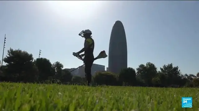 Video thumbnail for Reduced hours and 'climate leave': How Spain has adapted to heatwaves