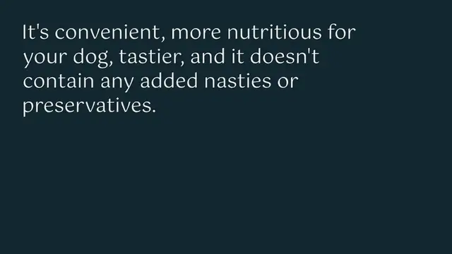 Video thumbnail for Ollie vs Nom Nom: which fresh dog food should you pick?