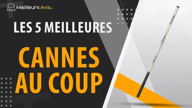 Video thumbnail for ⭐️ MEILLEURE CANNE AU COUP - Comparatif 2023