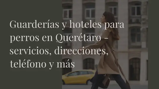 Video thumbnail for Guarderías y hoteles para perros en Querétaro - servicios, direcciones, teléfono y más