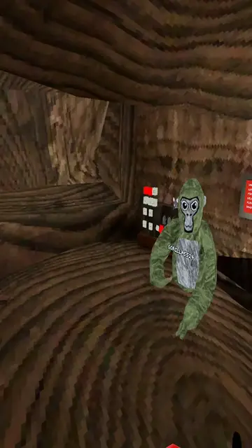 Video thumbnail for Playing queen taggers