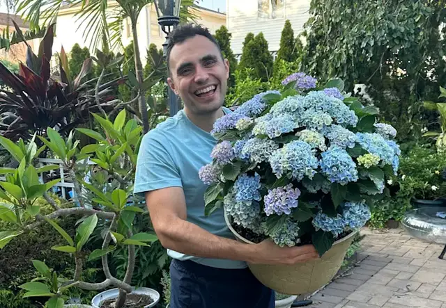 Video thumbnail for How to grow new hydrangea shrubs for FREE by taking cuttings